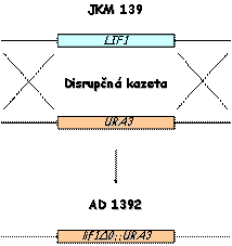 ADX4
