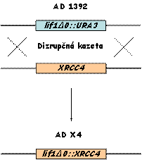 ADX4