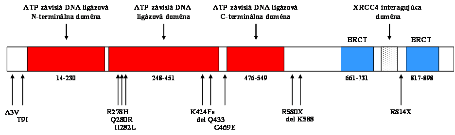 mutacie